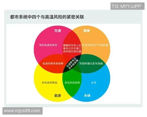 成都羽毛球队的控制革新与未来发展战略深度探讨 成都羽毛球队的控制革新与未来发展战略深度探讨