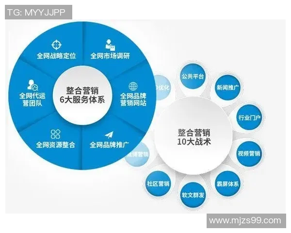 重庆排球队的战术创新与运营体系探讨分析