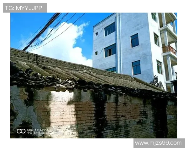 马力克的传奇旅程与时代变迁中的奋斗精神探讨