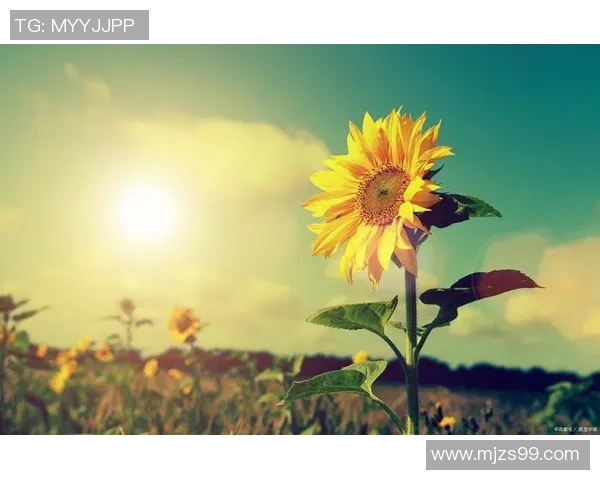 焦泊乔的奋斗历程与人生启示：从平凡到卓越的成长之路