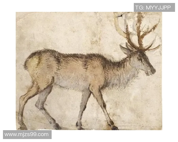 探索埃斯特旺的魅力与独特文化，揭示其在现代社会中的重要地位与影响力