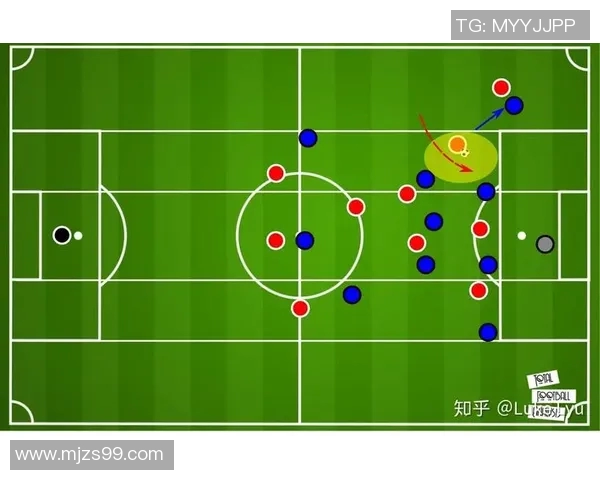 深圳排球队的团队协作与战术配合研究分析
